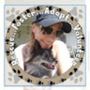 Meet your Posher, Lisa angelle